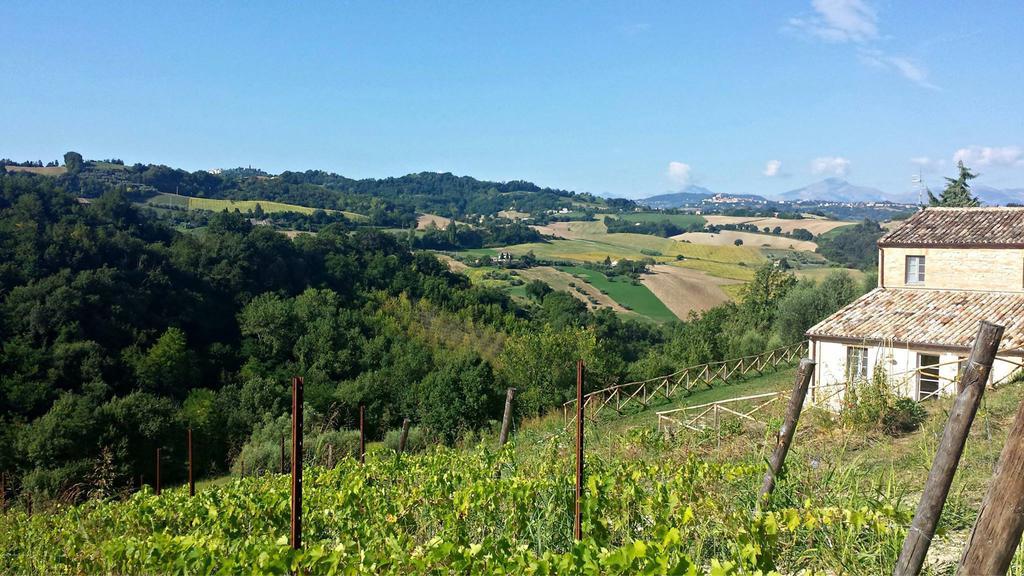 Biancopecora Villa Sant'Elpidio Morico Eksteriør bilde
