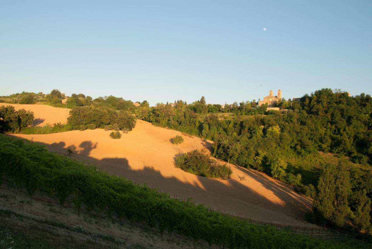 Biancopecora Villa Sant'Elpidio Morico Eksteriør bilde